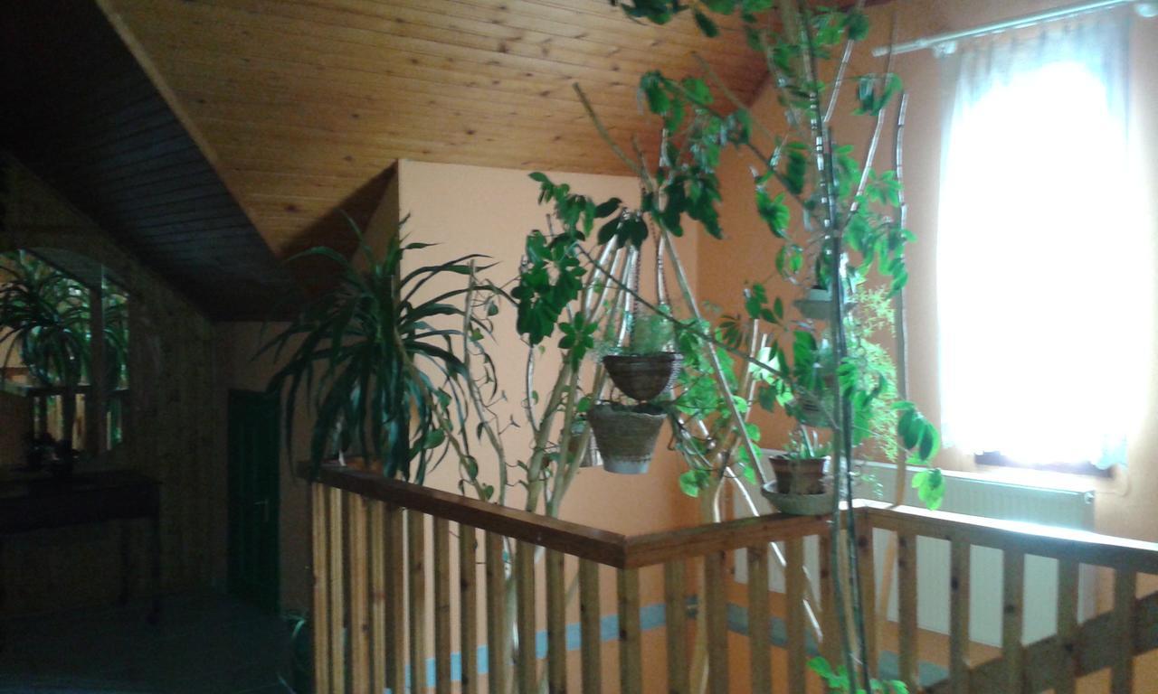 Kisdiofa Panzio Es Vendeglo Bed and Breakfast Vajdácska Εξωτερικό φωτογραφία